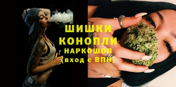 стаф Богородицк