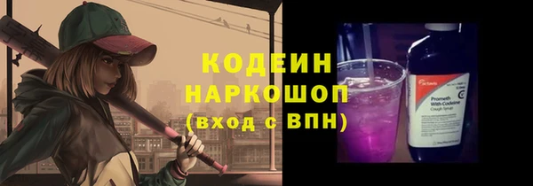 соль ск Белокуриха