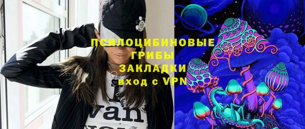 соль ск Белокуриха