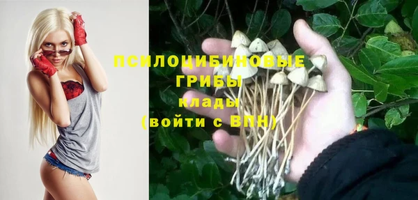 соль ск Белокуриха
