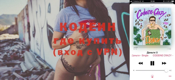 дживик Богородск