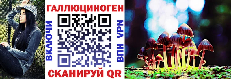 Купить где  Сокол  Псилоцибиновые грибы ЛСД 
